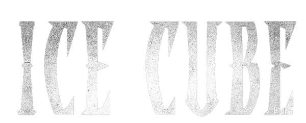 Official Ice Cube Store