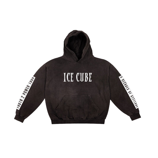 Truth 2 Power Tour Hoodie
